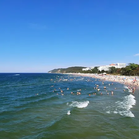 White-shell-apartment Miedzyzdroje